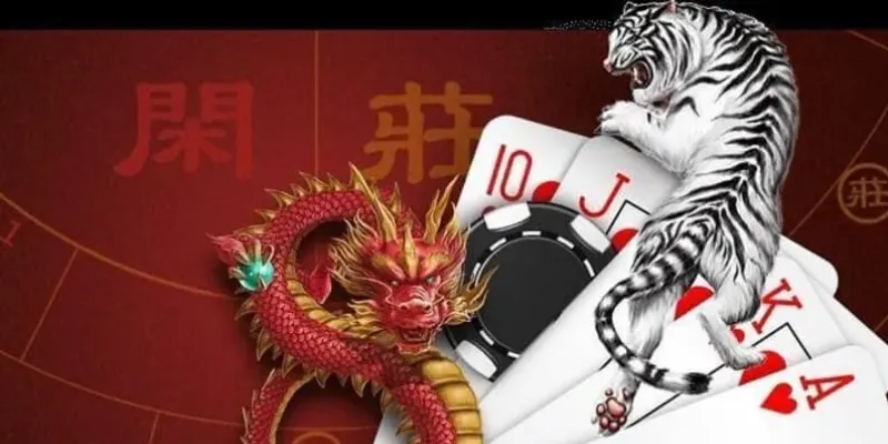 Hướng dẫn cách soi cầu Rồng Hổ chính xác từ chuyên gia 4 Khám phá về khả năng xảy ra và tỷ lệ đặt cược