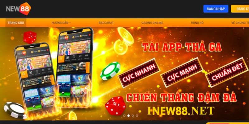 New88 Chính sách của nhà cái – Cam kết an toàn và minh bạch tại New88