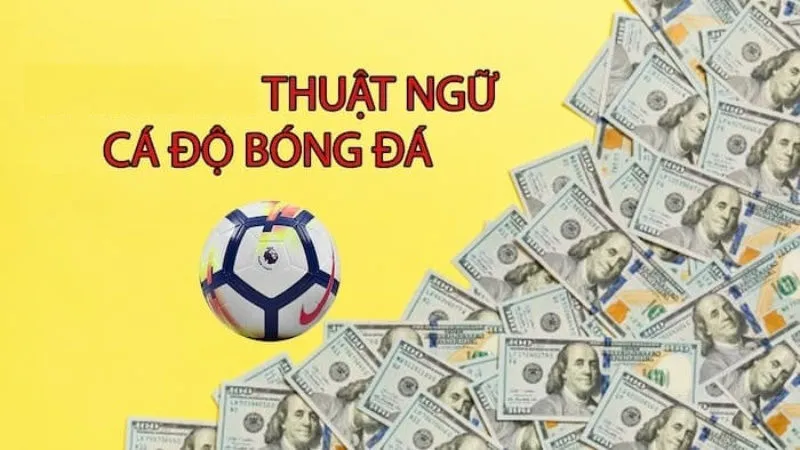 Giải mã những thuật ngữ cá độ bóng đá cơ bản và nâng cao 2 Tầm quan trọng khi nắm bắt các thuật ngữ cá độ bóng đá