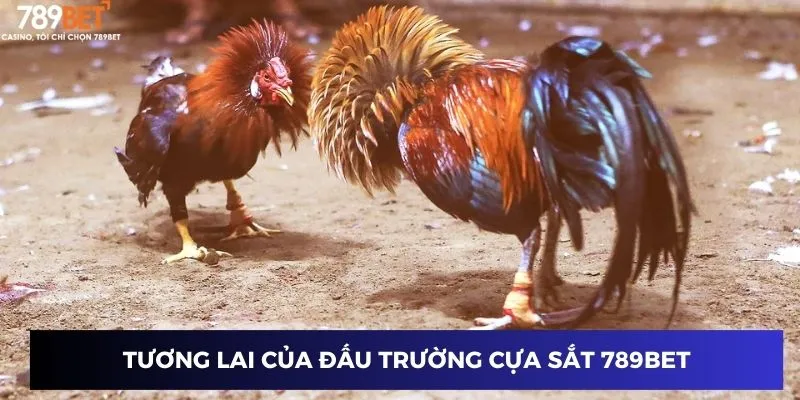 Đấu Trường Cựa Sắt 789BET Nơi So Tài Giữa Các Chiến Kê Mạnh 4 Dự báo tương lai của đấu trường tại 789BET