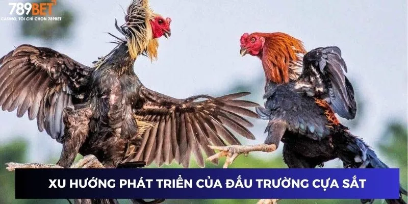 Đấu Trường Cựa Sắt 789BET Nơi So Tài Giữa Các Chiến Kê Mạnh 2 Tương lai và sự phát triển của đấu trường cựa sắt