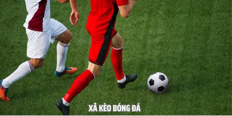 Xả kèo bóng đá: Hướng dẫn chi tiết để tối đa hóa cơ hội 4 Hướng dẫn cho người chơi xả kèo bóng đá hiệu quả