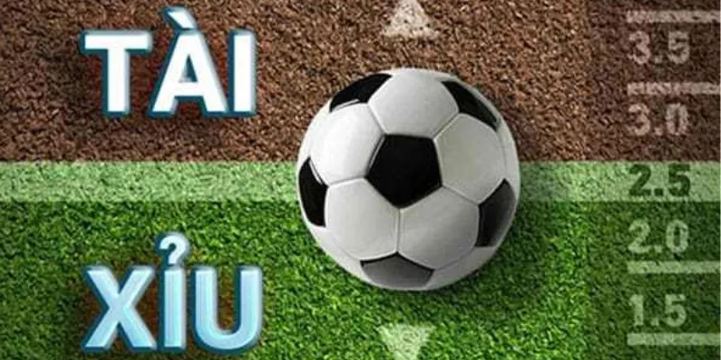 Top 5 mẹo cược tài xỉu bóng đá giúp bạn dễ dàng thắng lớn 3 Khám phá cách cược tài xỉu bóng đá cho newbie