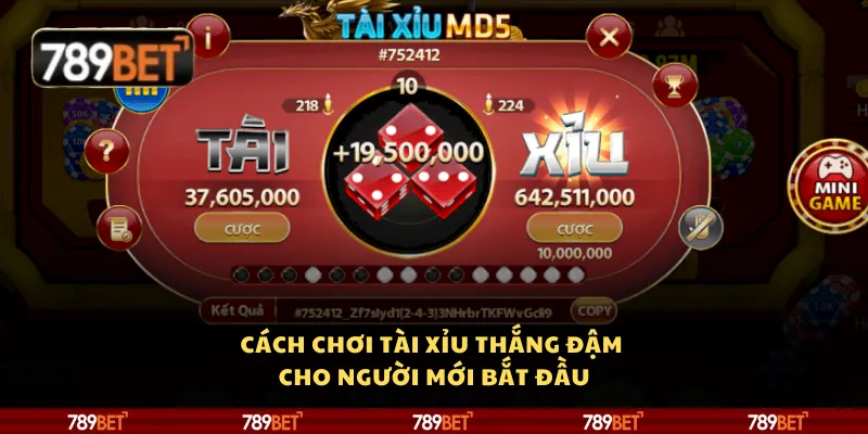 Cách chơi Tài Xỉu thắng đậm cho người mới bắt đầu