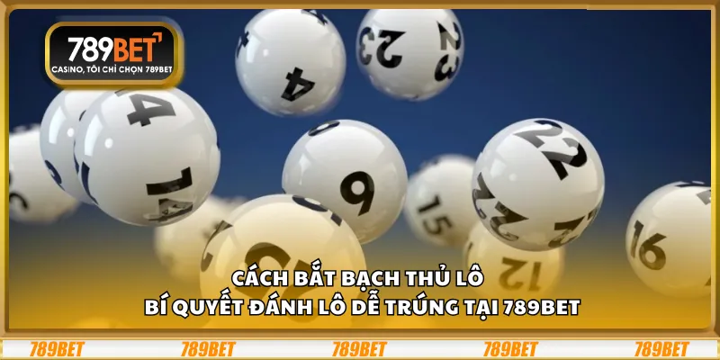 Cách bắt bạch thủ lô – Bí quyết đánh lô dễ trúng tại 789Bet